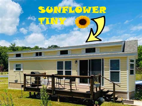 sunflower tiny house